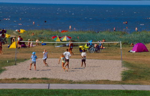 Nordseestrand Hooksiel Hundestrand